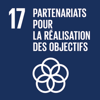 17-partenaires-pour-realisation-des-objectifs-400x400